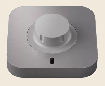 The Oura ring charger, a small pebble with a single post to drop the ring onto.